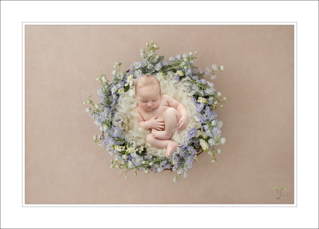 Best Tacoma baby photographer